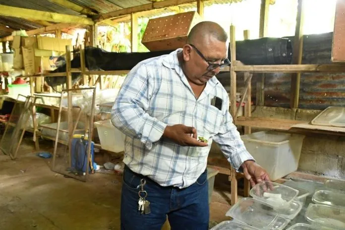 Nicaragua autoriza exportaciones de fauna silvestre por más de 7.6 millones de dólares