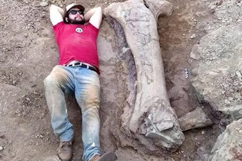Brasil estaba construyendo una carretera cuando la excavación descubrió 20 metros de pura sorpresa: un dinosaurio con raíces de Castellón