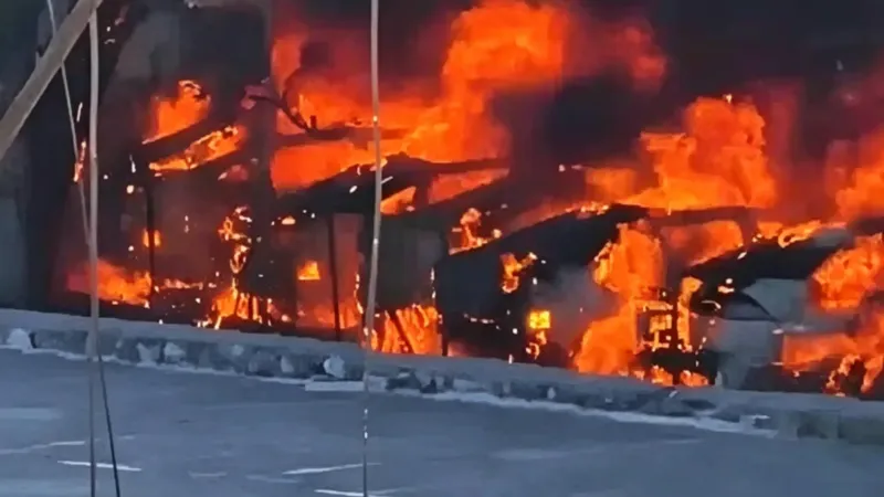 ¡Increíble! La pelusa de un árbol causa un incendio que arrasa 20 coches eléctricos en China