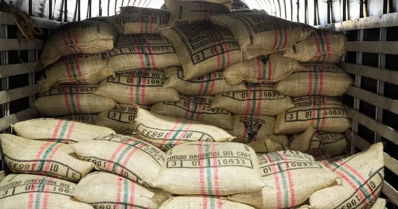 Café colombiano se exportó por primera vez por Puerto Antioquia: así fue el envío