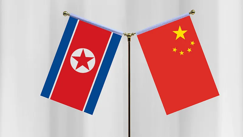 Xi Jinping realizará una visita de Estado a la RPDC del 8 al 9 de junio