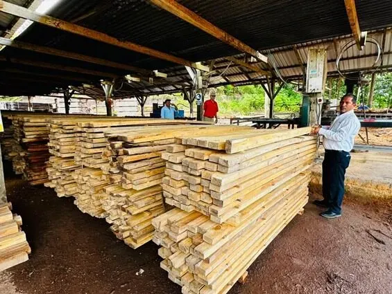 MARENA supervisa en Camoapa la madera sostenible para exportación