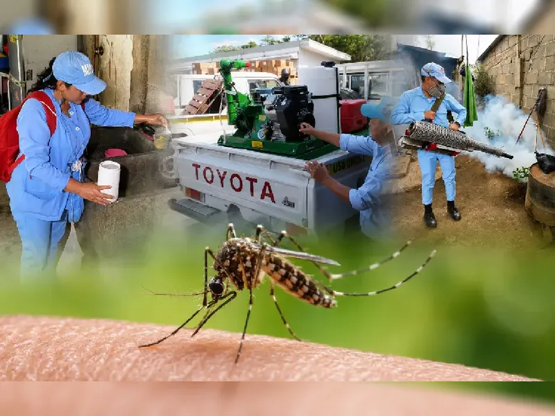 Epidemiologia al 24 Octubre