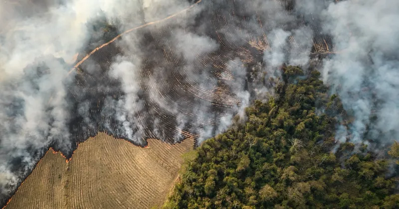 El ‘Super Niño’ pone en alerta a América Latina: cómo invertir y qué acciones podrían ganar