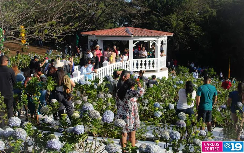 Lanzan Festival de las Flores en El Crucero