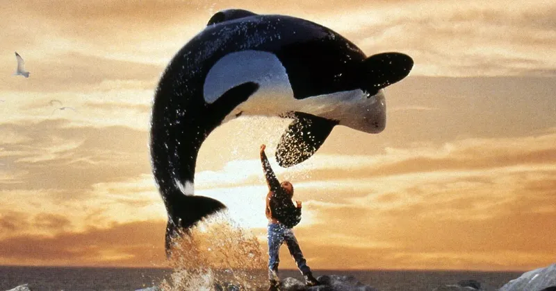 Warner Bros. prepara nueva versión de ‘Liberen a Willy’: ¿qué pasó con la orca Keiko?
