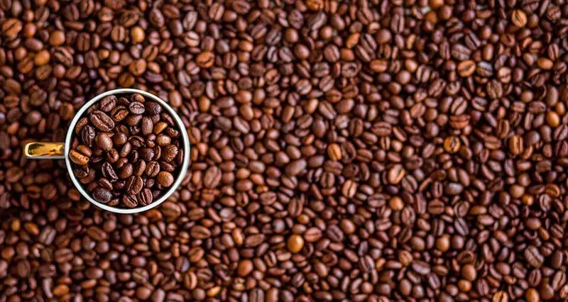 Fedeagro cuestiona la Ley del Café por falta de un mecanismo de financiamiento
