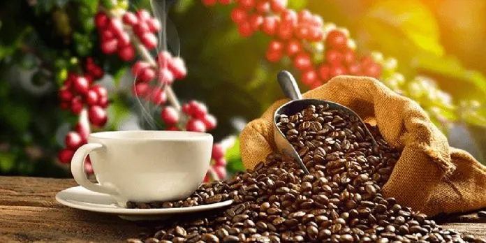 Nicaragua, el paradigma del café, por: Fabrizio Casari