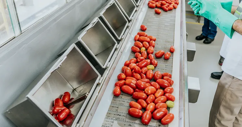 Kétchup hecho en Brasil: la estrategia con la que Kraft Heinz logró autosuficiencia de tomate
