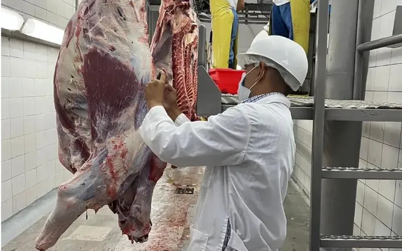 Carne bovina al mes de abril de 2026