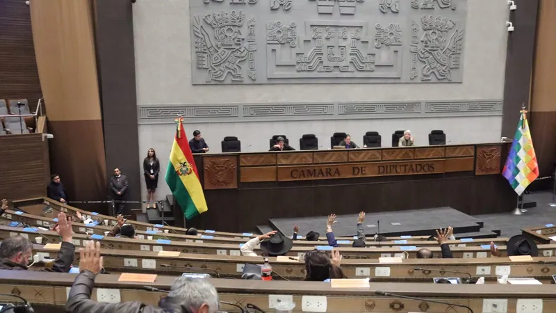 Tribunal constitucional definirá esta semana el futuro del exministro de Economía de Bolivia