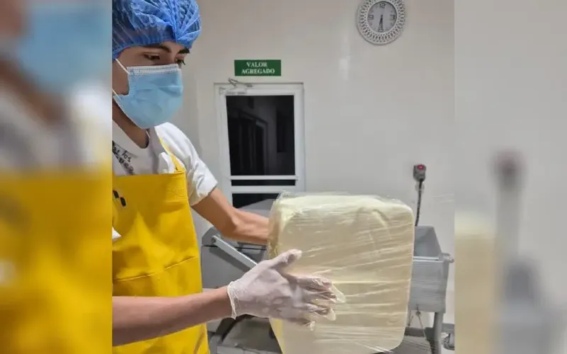 Queso y Cuajada Junio 2026