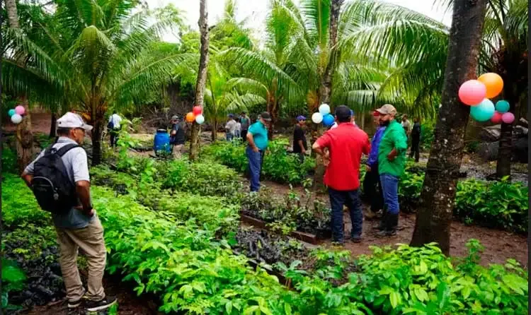 Marena inaugura viveros forestales en Jinotega en celebración del 47/19
