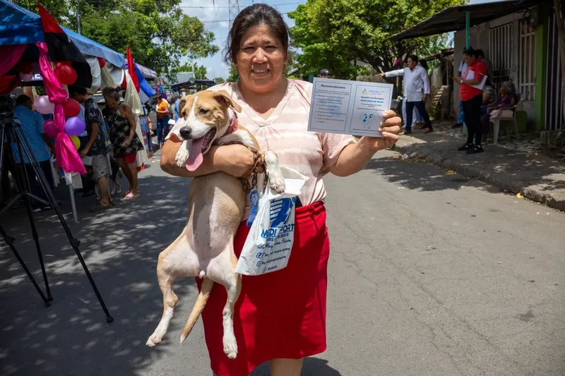 Más de 290 mil perros serán vacunados contra la rabia en Managua