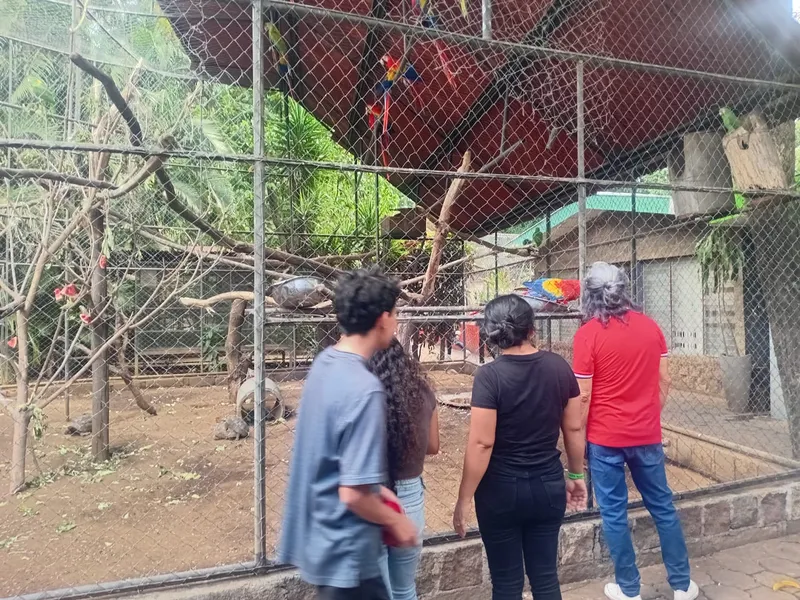El Zoológico Nacional y Volcán Masaya, dos destinos favoritos para disfrutar en familia