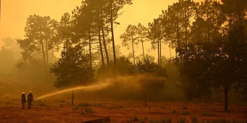 Más de 220.000 evacuados por devastador incendio en Francia
