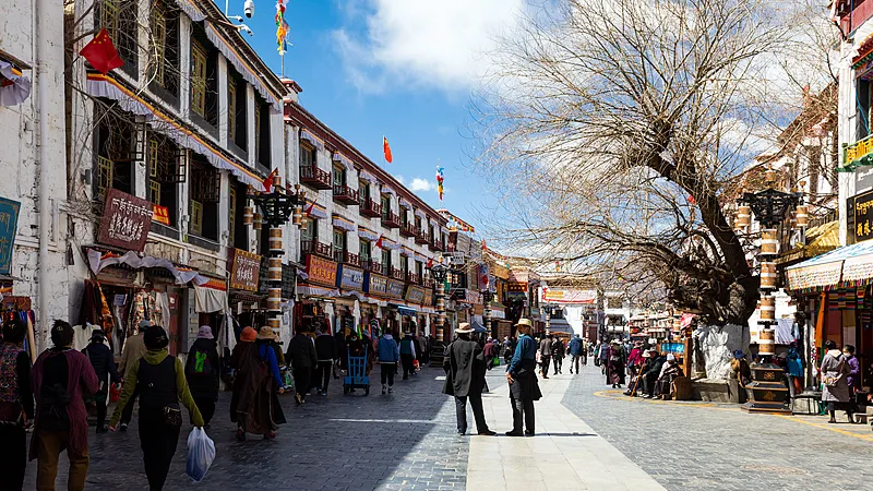 El desarrollo económico de alta calidad cobra impulso en Xizang