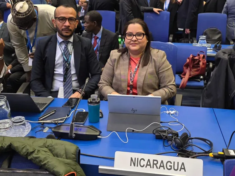 En Conferencia OIEA en Viena