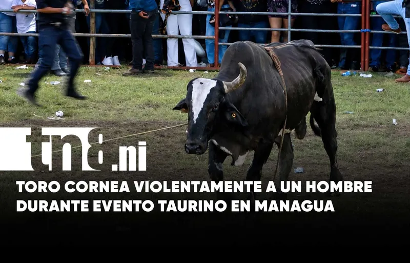 Emergencia en Las Sierritas: toro deja a un hombre gravemente lesionado