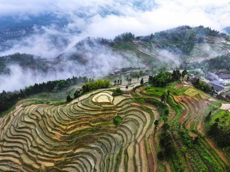 China y EU acuerdan ampliar comercio agrícola