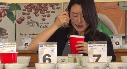 Inicia semana de jurado internacional del Certamen Taza de Excelencia 2026 en Matagalpa