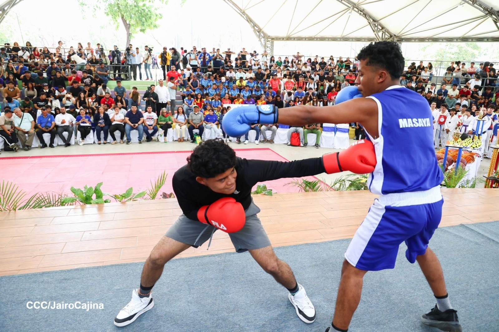 Juegos Nacionales Universitarios arrancan con la participación de 100 mil estudiantes