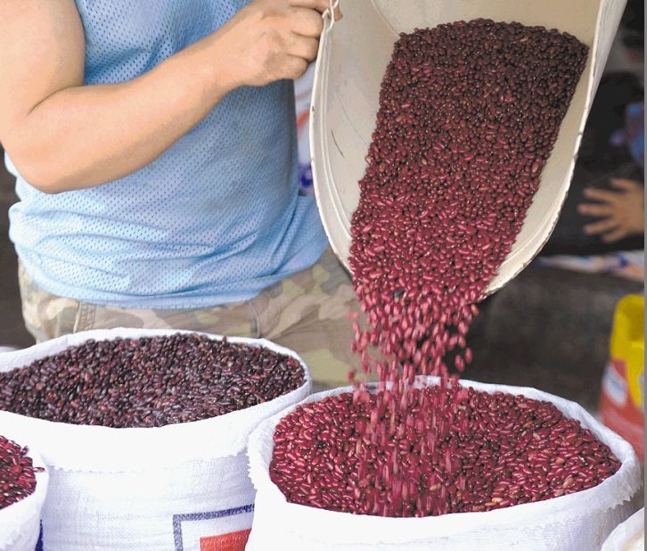 Cosecha 2025-2026 de arroz, maíz y frijol asegura abastecimiento nacional