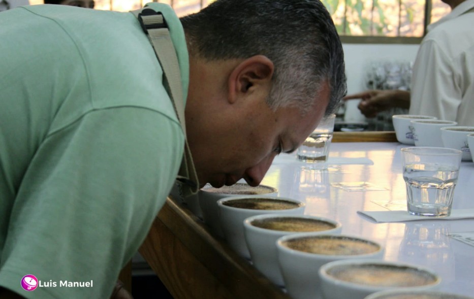 Dipilto brilla en la cuarta edición de café The Best of Maragos