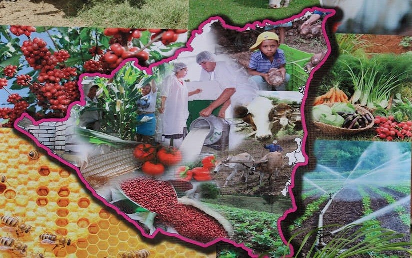 Presentarán resultados del Ciclo Productivo 2025-2026 y metas para el nuevo período en Nicaragua