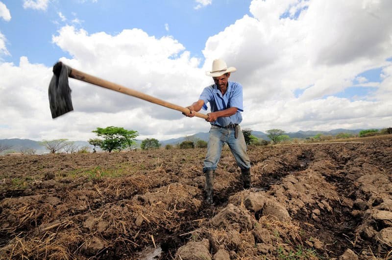 Lluvias inician a partir del 20 de mayo con un 91% de probabilidad de El Niño en agosto