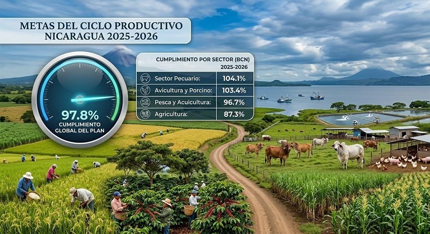 Producción nicaragüense vence retos climáticos y alcanza 97.8% de cumplimiento