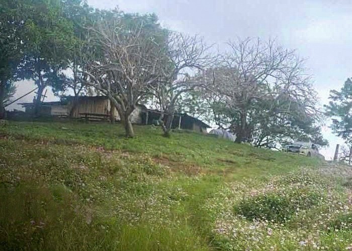 Hombre es asesinado a machetazos en una comunidad de San Juan del Sur