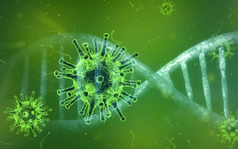 Autoridades de salud confirman semana sin casos de Covid-19