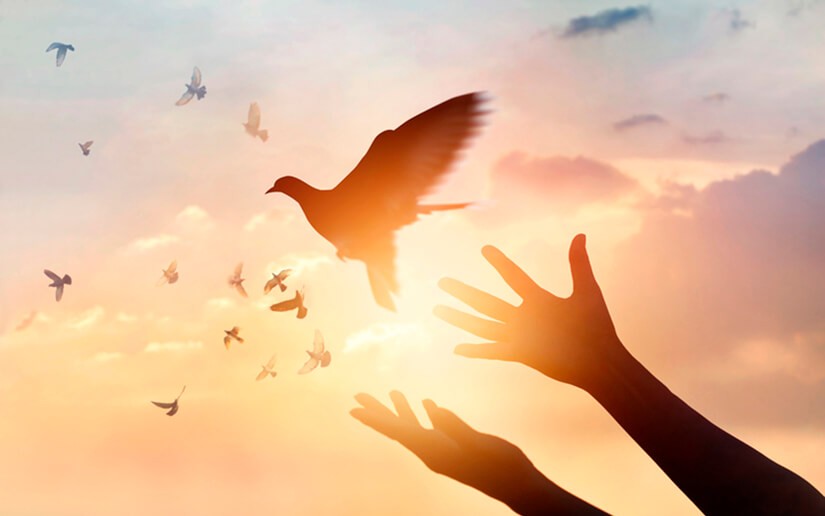 Rosario: La paz derecho fundamental de los habitantes de todo el planeta