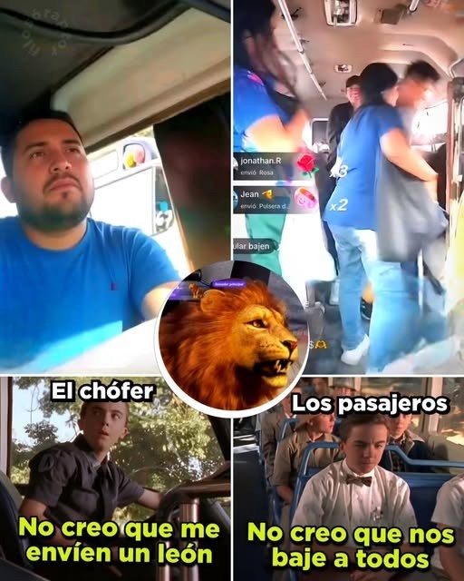Todo para recibir un león en Tik Tok: busero baja a pasajeros