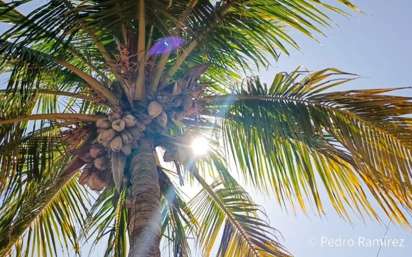 Mucho calor: Temperaturas en Semana Santa irán aumentando