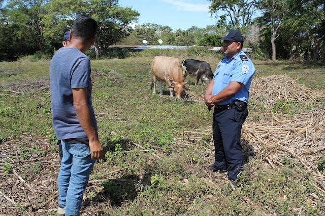 Policía refuerza seguridad ciudadana con miles de visitas en el campo y atención a familias