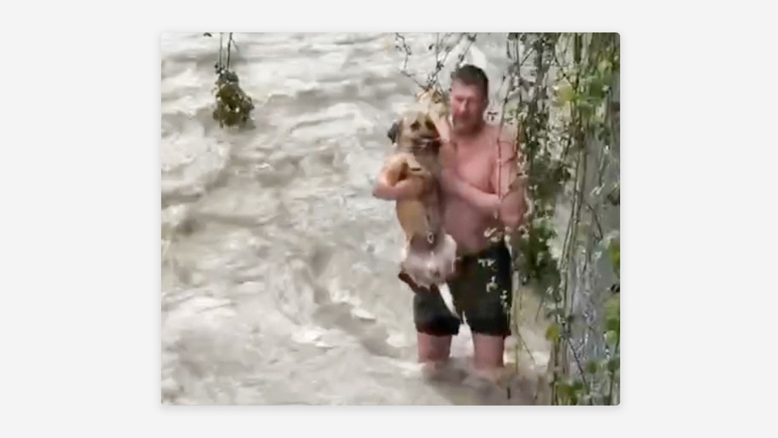 VIDEO: Salva a un perro de morir en un río embravecido