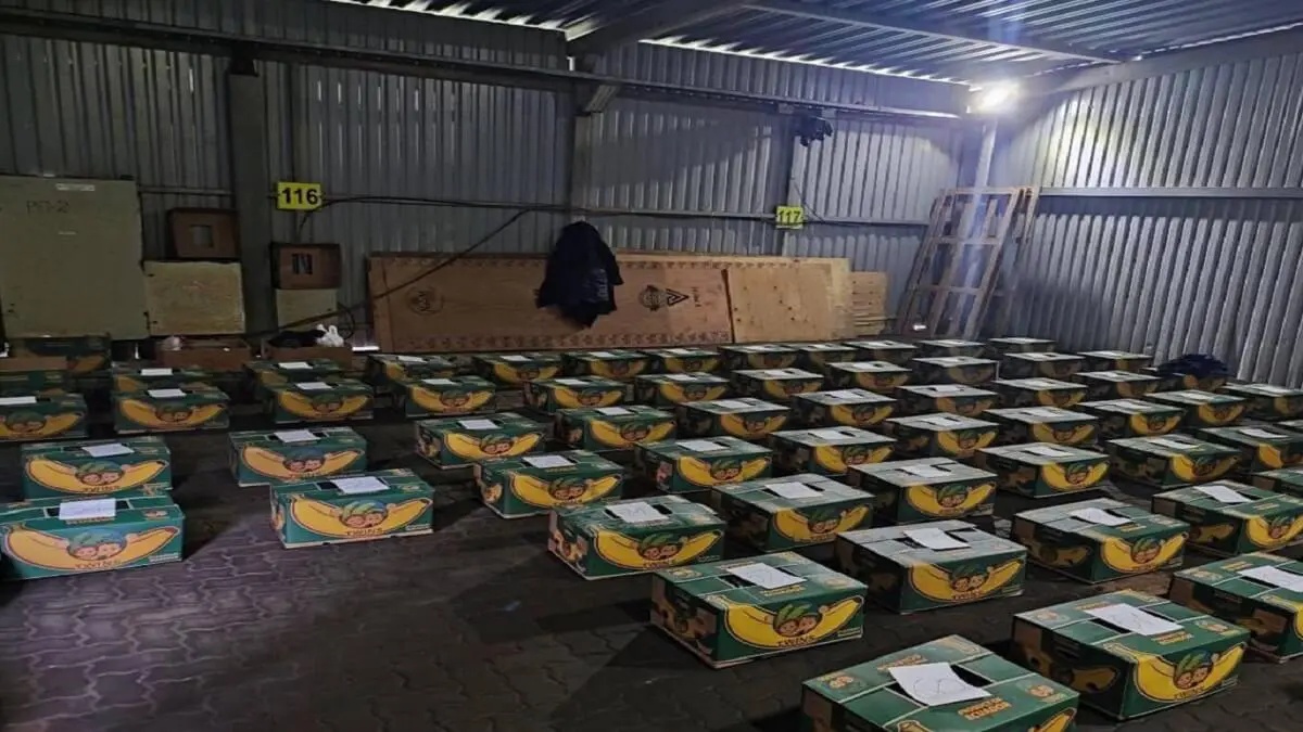 Rusia incauta un cargamento de 1,5 toneladas de cocaína procedente de Ecuador