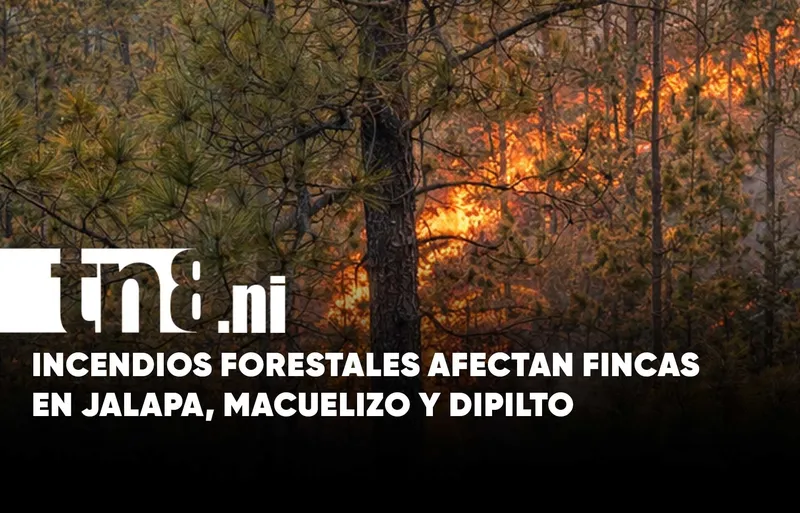 Incendios forestales afectan propiedades y bosques en comunidades de Nueva Segovia