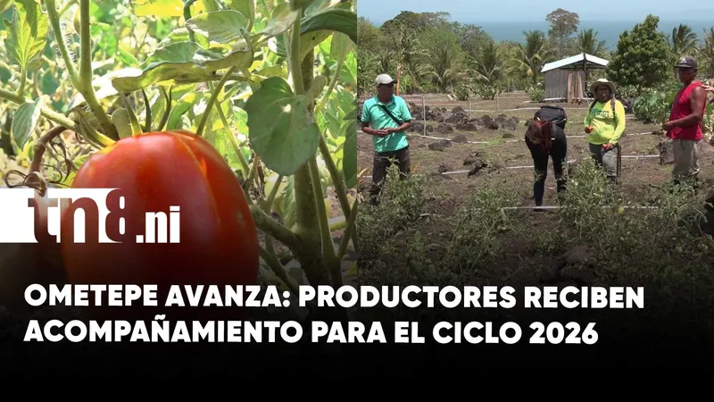Productores de la comunidad Tichana impulsan el ciclo agrícola 2026 en Ometepe