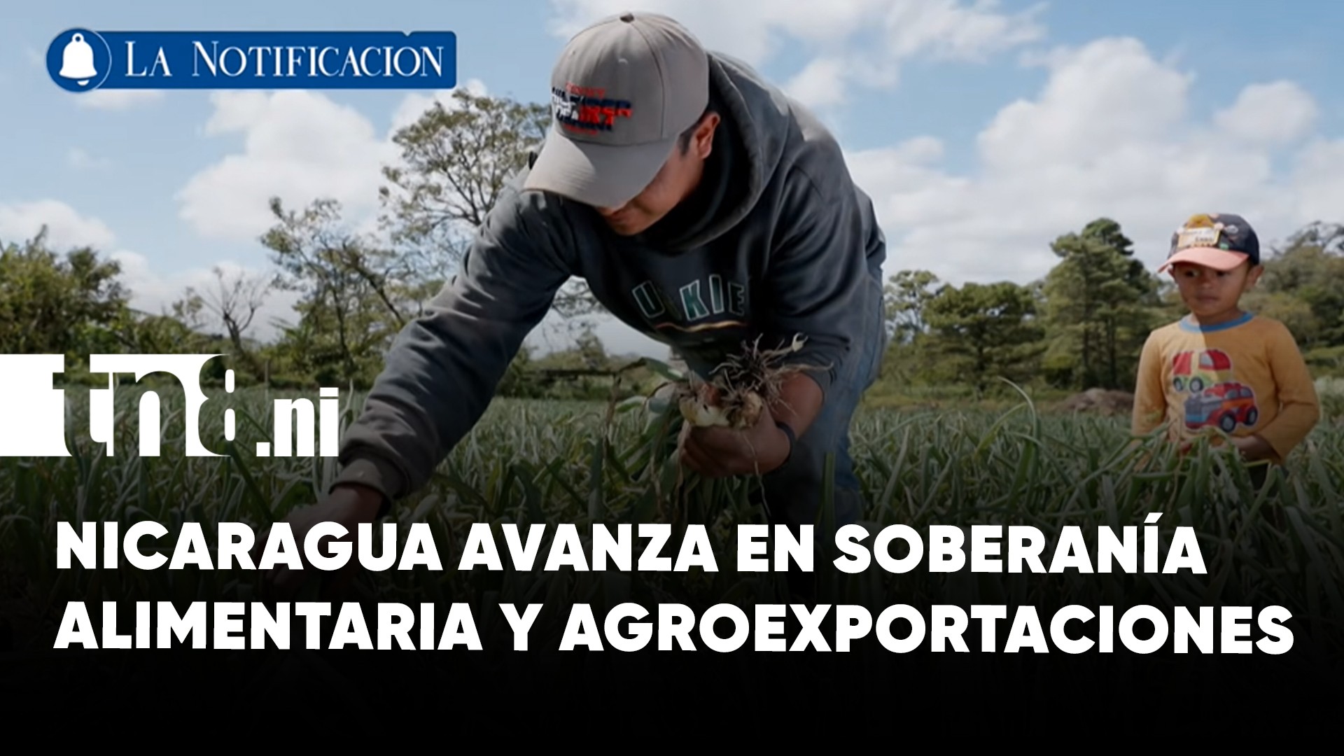 Soberanía alimentaria en Nicaragua: ¡Claves del crecimiento del sector agropecuario!