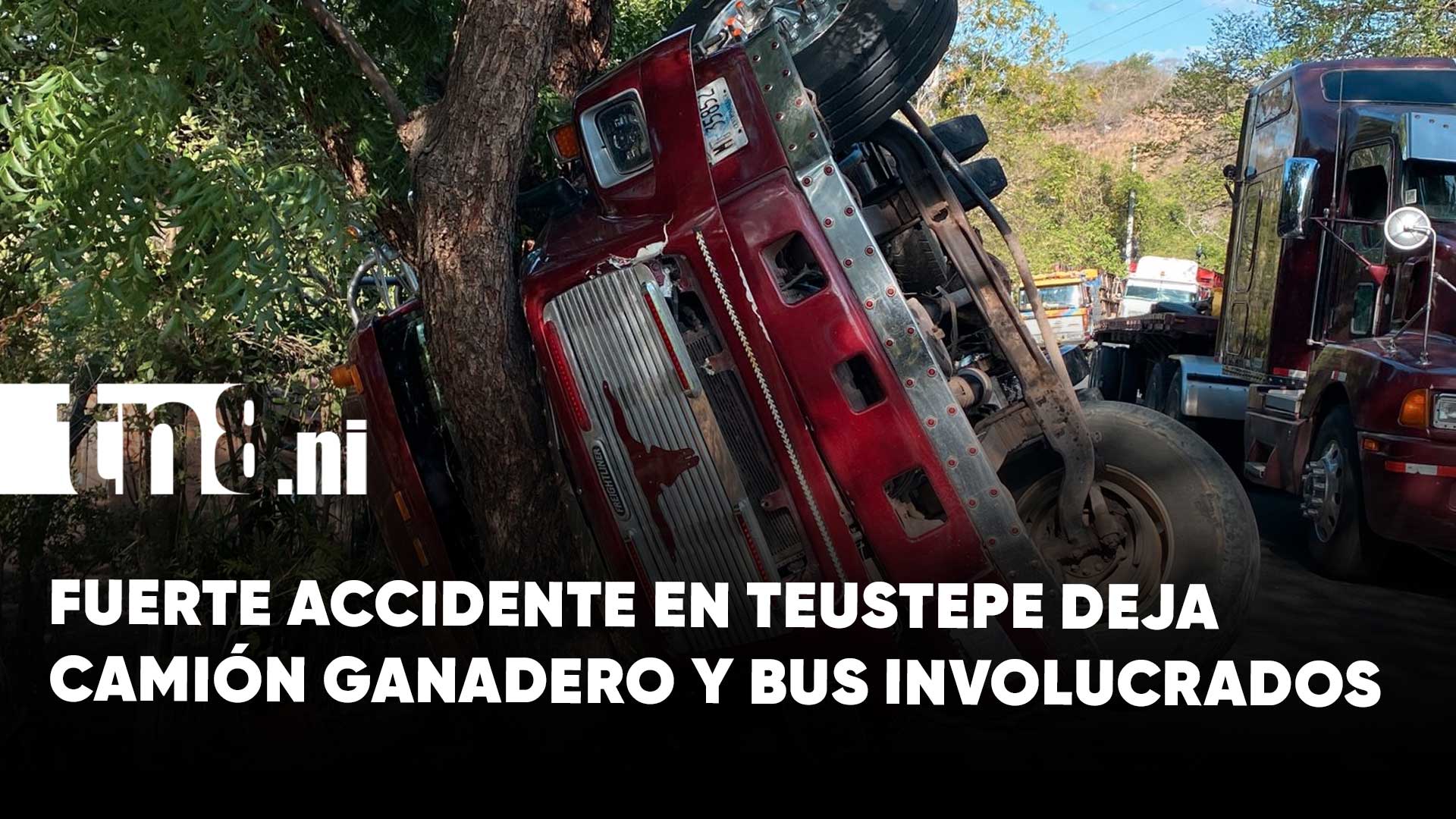 Managua se refresca con coco ante las sofocantes temperaturas
