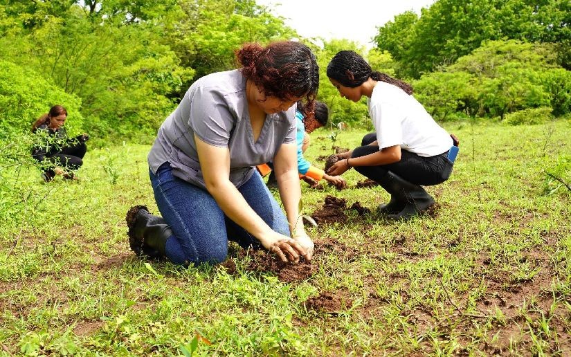 Jóvenes ambientalistas lanzan quinta edición de «Universidades Verdes»