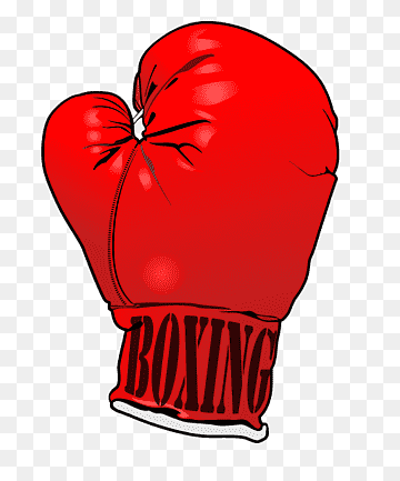 Solo Boxeo